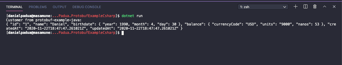 Running from terminal