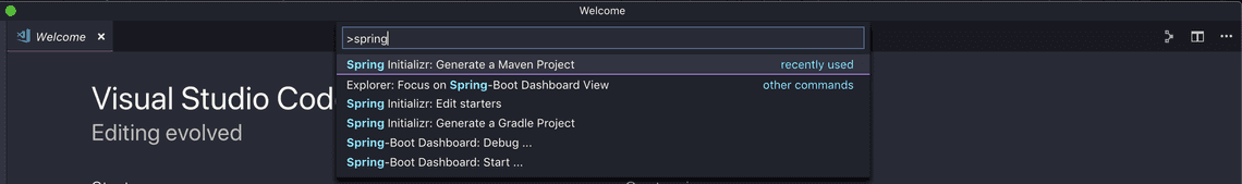 spring boot initializr vscode